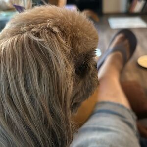 Hi. I am looking for Fisher Price